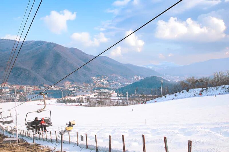 Seoul: Jisan Forest Ski Resort and Everland 1 Day Tour - Final Thoughts