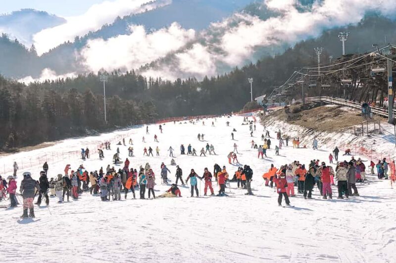 Seoul: Jisan Forest Ski Resort and Everland 1 Day Tour - FAQ