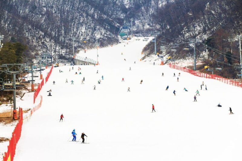 Seoul: Jisan Forest Winter Ski Day Tour with Basic Lesson - Snow Activities and Free Time: The Heart of the Day