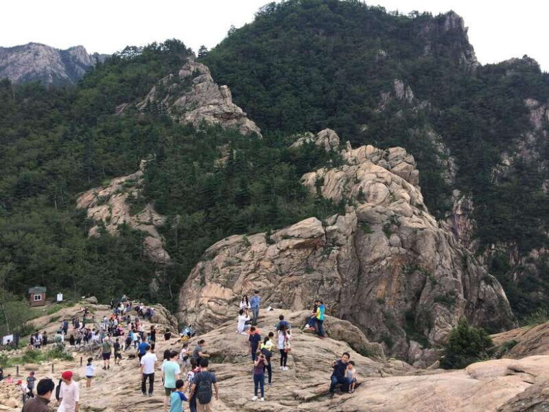 Seoul: Korea Spring Cherry Blossom Day Tour - FAQ