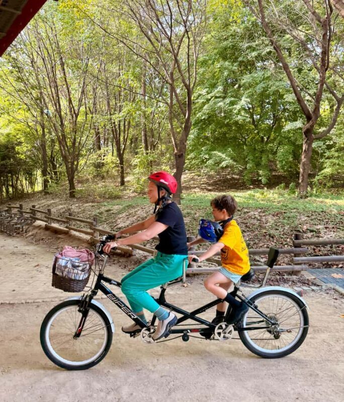 Seoul: Morning Bike Tour along the Han River with a Local - Key Points