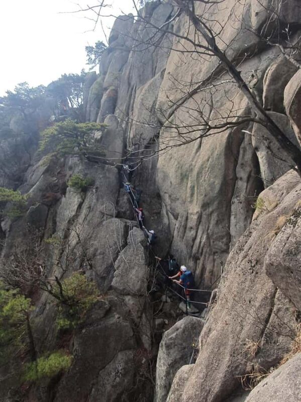 Seoul: Mt. Dobongsan National Park Hiking with Sapaesan - Final Thoughts: Who Is This Tour For?