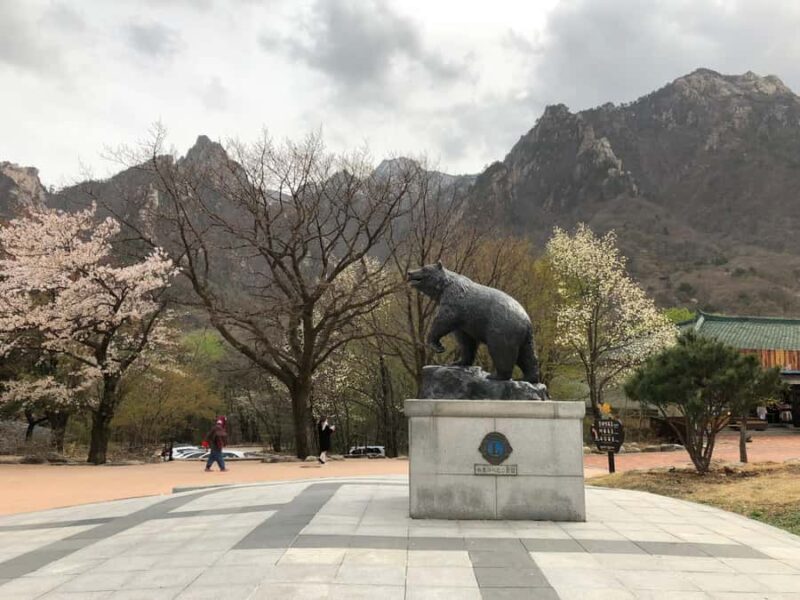 Seoul: Mt.Seorak and Cherry Blossom Lake 1 day trip - Transportation and Logistics