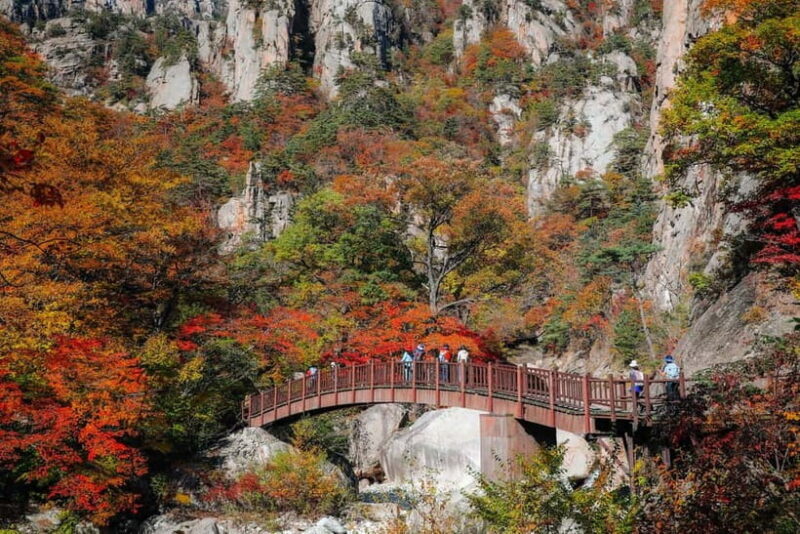 Seoul: Mt. Seorak & Autumn Flower Festival - Key Points