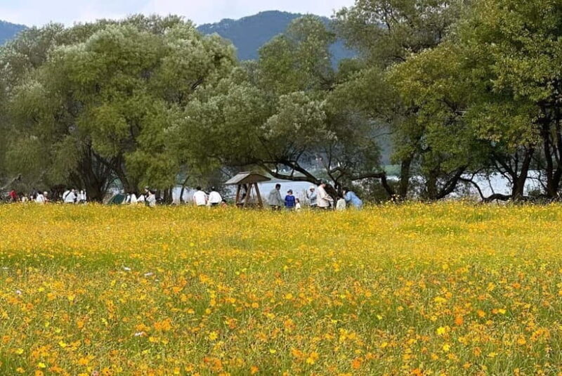 Seoul: Mt. Seorak & Autumn Flower Festival - FAQ