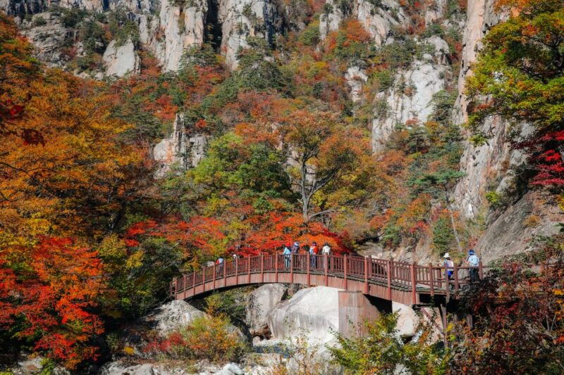 seoul-mt-seorak-hike-with-naksansa-temple-or-nami-island