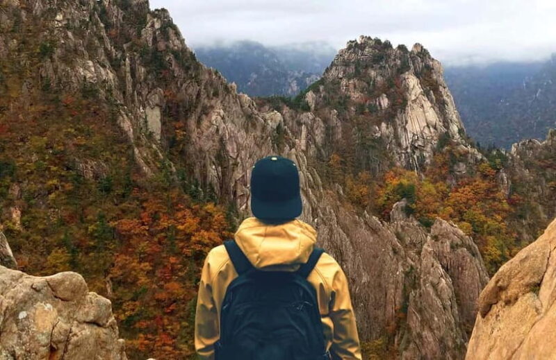 Seoul: Mt. Seorak & Nami Island & Eobi Ice Valley Day Tour - Practical Details: What to Expect