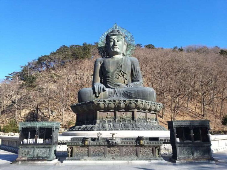 seoul-mt-seorak-nami-island-korean-garden-no-shopping