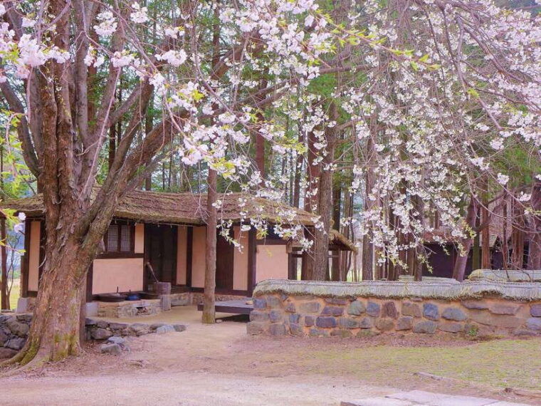 seoul-mt-seorak-nami-island-korean-garden-no-shopping