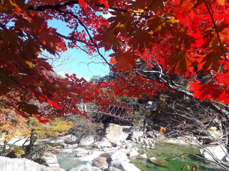 seoul-mt-seorak-nami-island-korean-garden-no-shopping