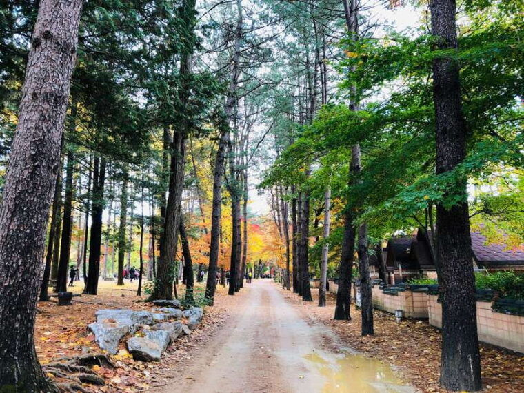 seoul-mt-seorak-nami-island-korean-garden-no-shopping