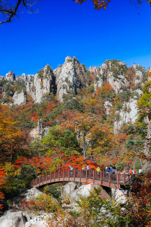 Seoul: Mt. Seoraksan National Park Autumn Foliage Day Tour - The Authenticity and Value of the Experience