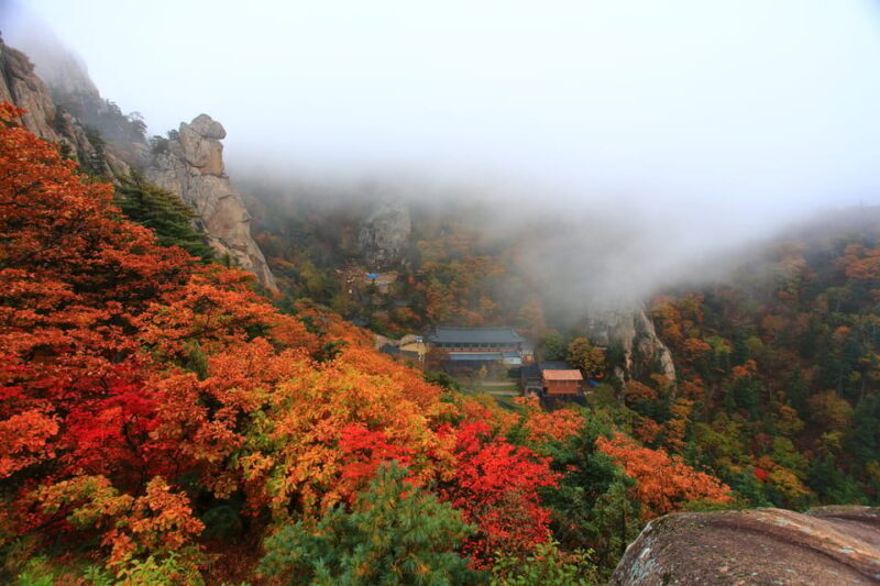 Seoul: Mt. Seoraksan National Park Autumn Foliage Day Tour - FAQs