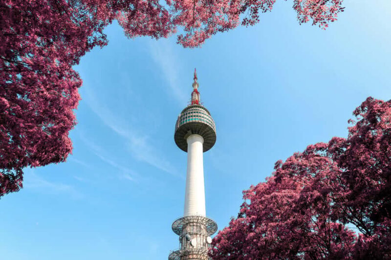 Seoul: N Seoul Tower Observatory & Cable Car Combo Ticket - Who Would Love This Tour?