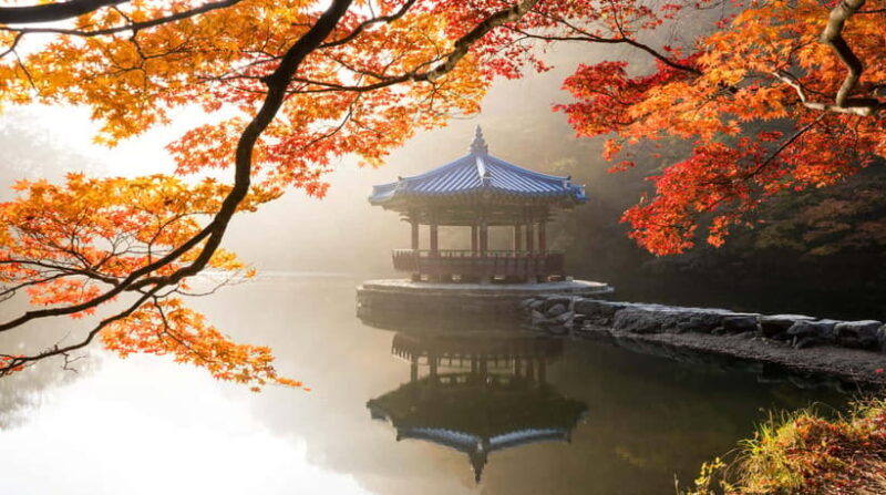 Seoul: Naejangsan National Park Autumn Foliage One Day Tour - Authentic Traveler Insights