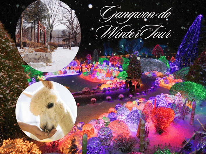 seoul-nami-and-k-garden-with-optional-alpaca-winter-tour