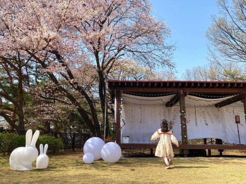 seoul-nami-island-alpaca-world-morning-calm-garden