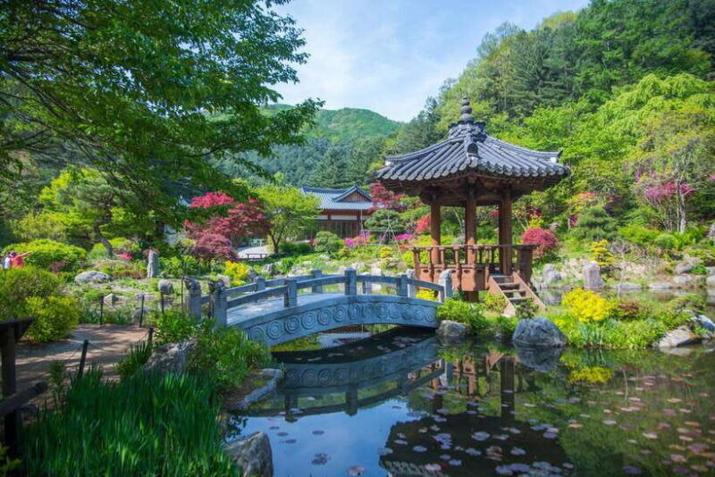 seoul-nami-island-alpaca-world-morning-calm-garden
