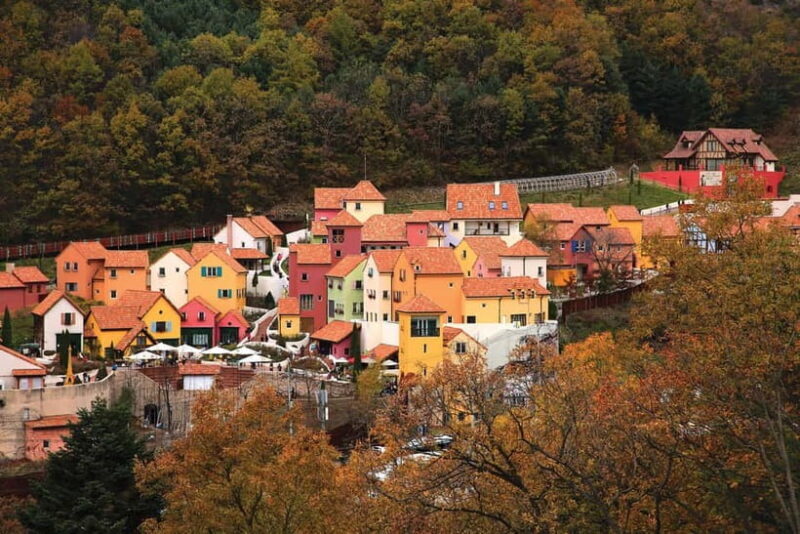 Seoul: Nami Island, Garden and Petite France (opt Railbike) - Practical Details & Tips