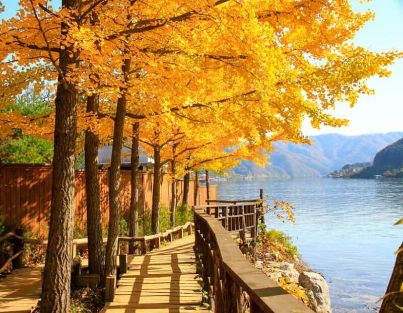 Seoul: Nami Island, Garden and Petite France (opt Railbike) - FAQs