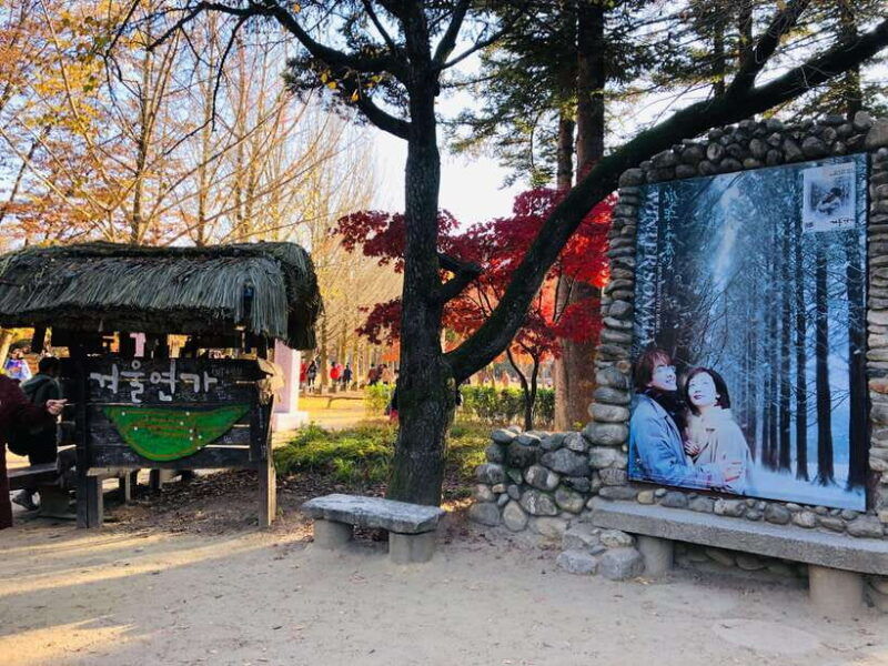 seoul-nami-island-garden-of-morning-calm-tour-rail-bike