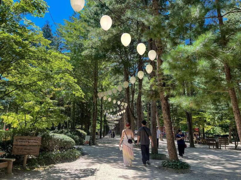 seoul-nami-island-petite-france-tour-with-railbike-option