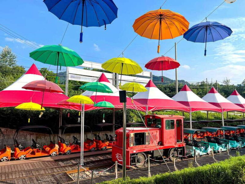 seoul-nami-island-railbike-begonia-bird-park-day-tour