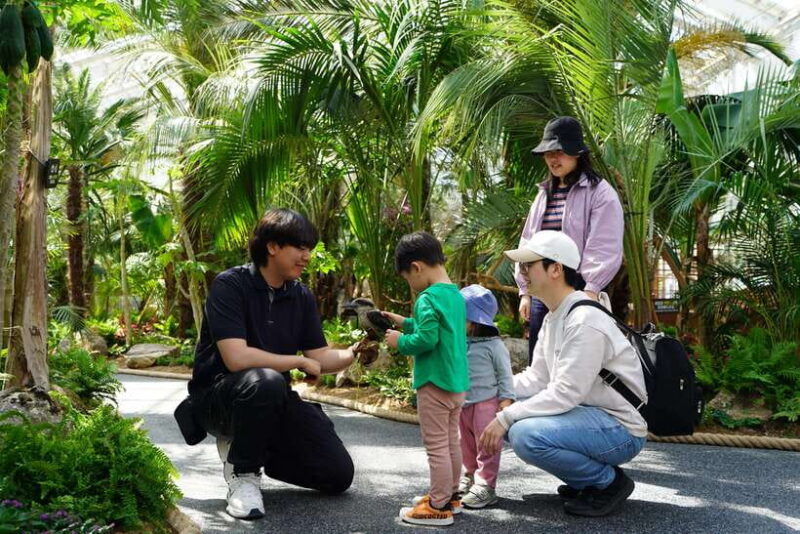 seoul-nami-island-railbike-begonia-bird-park-day-tour