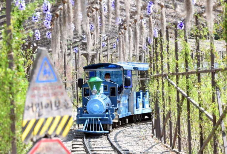 seoul-nami-island-railbike-begonia-bird-park-day-tour