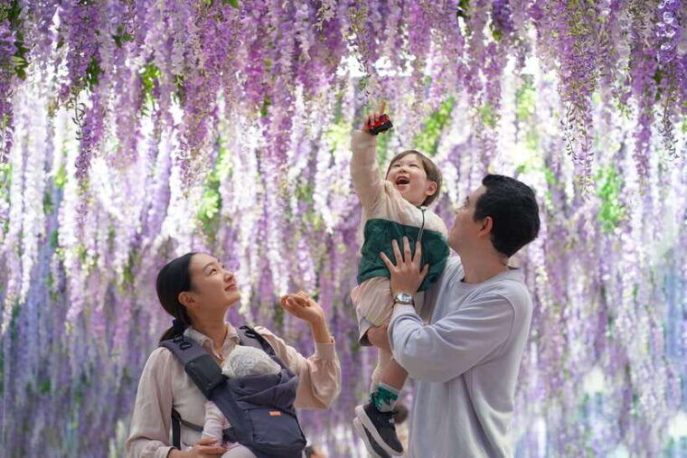 seoul-nami-island-railbike-begonia-bird-park-day-tour