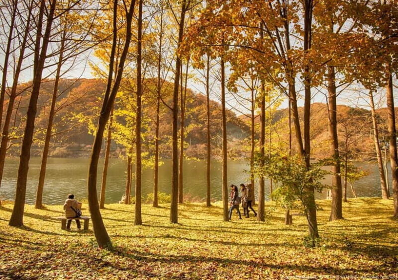 Seoul: Nami+Hanbok+Waterfall(+RailBike or Strawberry)Tour - A Practical Look at the Seoul: Nami+Hanbok+Waterfall Tour  