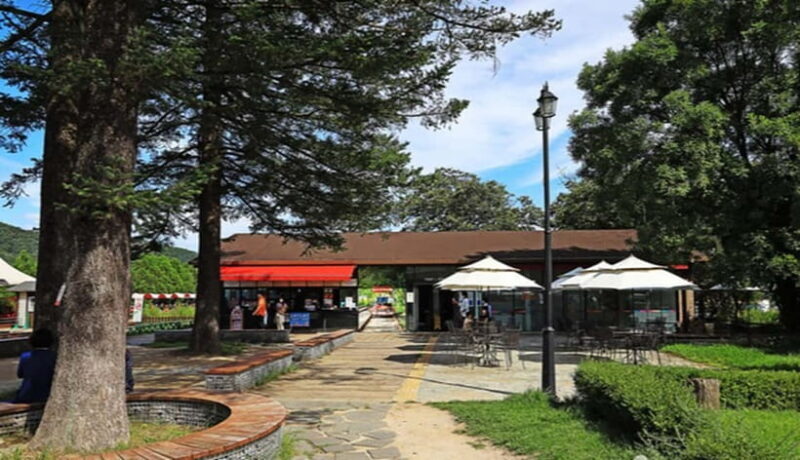 Seoul: Nami+Hanbok+Waterfall(+RailBike or Strawberry)Tour - What to Expect from the Tour  