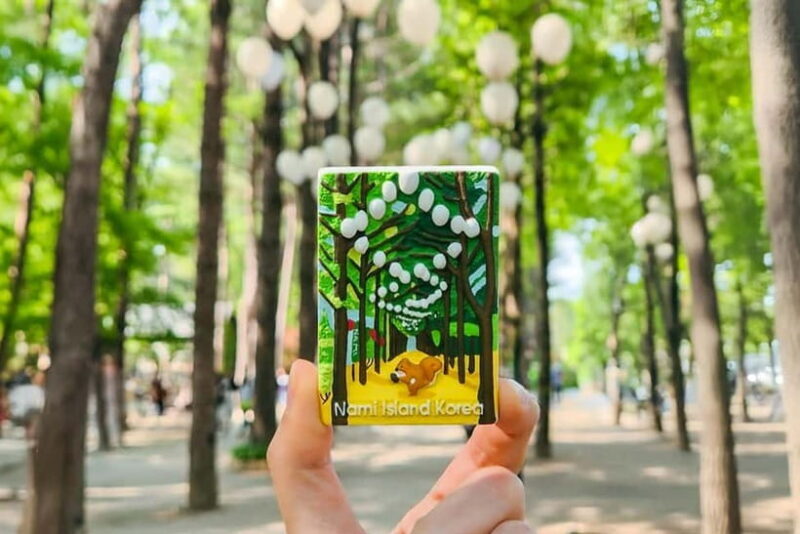 Seoul: Nami+Hanbok+Waterfall(+RailBike or Strawberry)Tour - Who Will Love This Tour?  