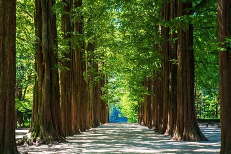 Seoul: Nami+Hanbok+Waterfall(+RailBike or Strawberry)Tour - FAQ  