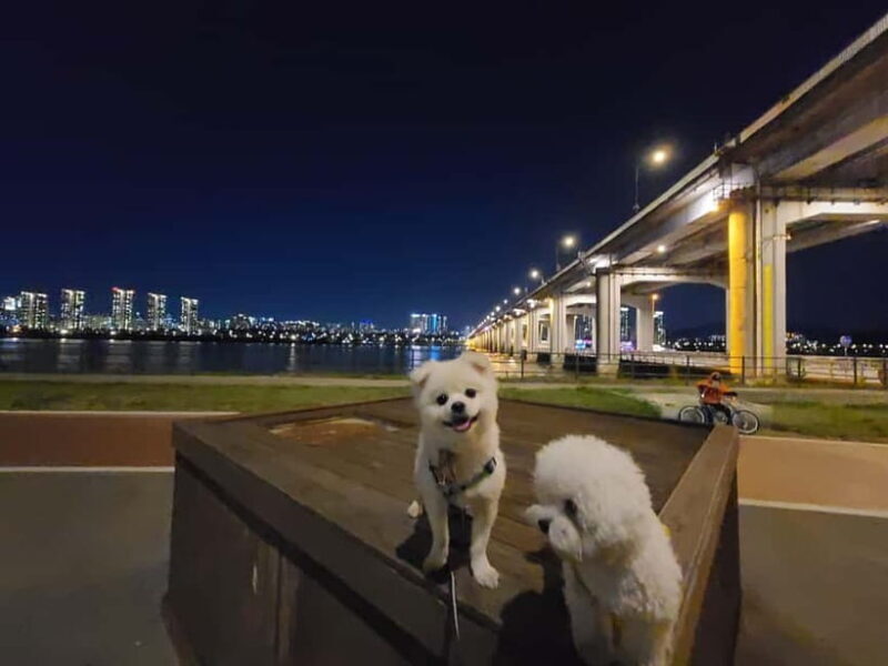 Seoul: Night Views Tour with Guide and Transfers - FAQ