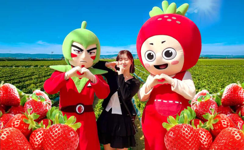 Seoul: Nonsan Strawberry & Cherry Blossom Season Experience - Key Points