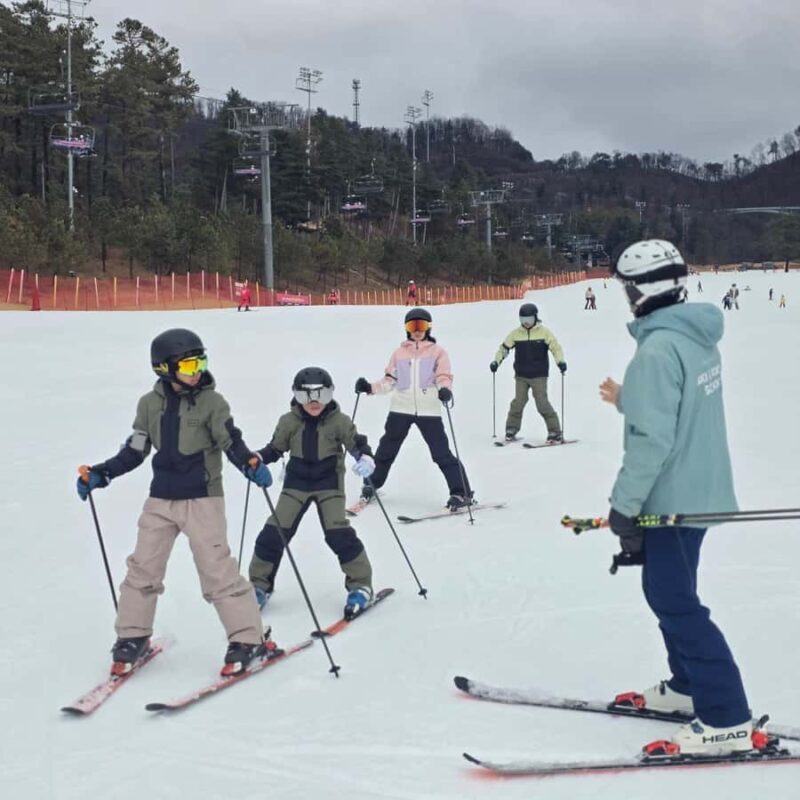 Seoul: Oak Valley Private Ski Day Tour - Seoul: Oak Valley Private Ski Day Tour — An In-Depth Review