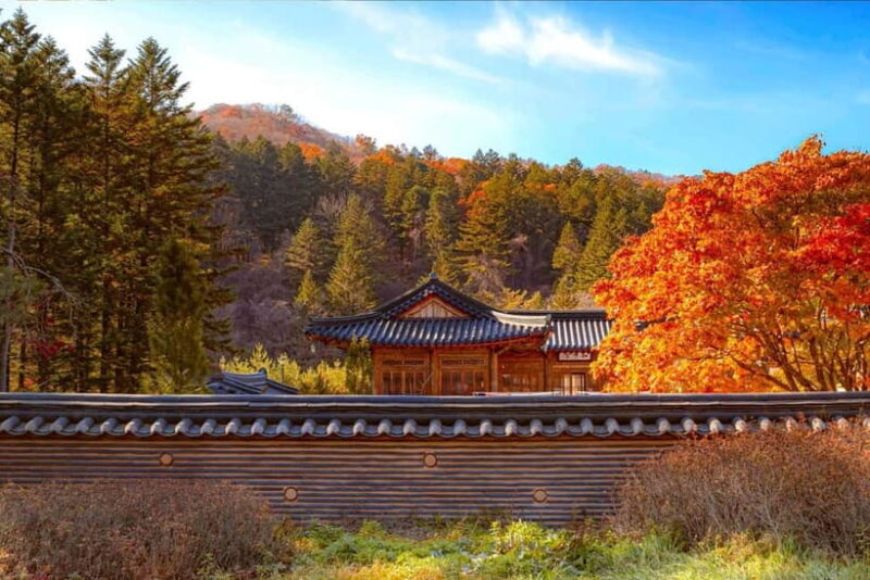 Seoul: Odaesan or Daedunsan Park Autumn Foliage Day Tour - Who Should Consider This Tour?