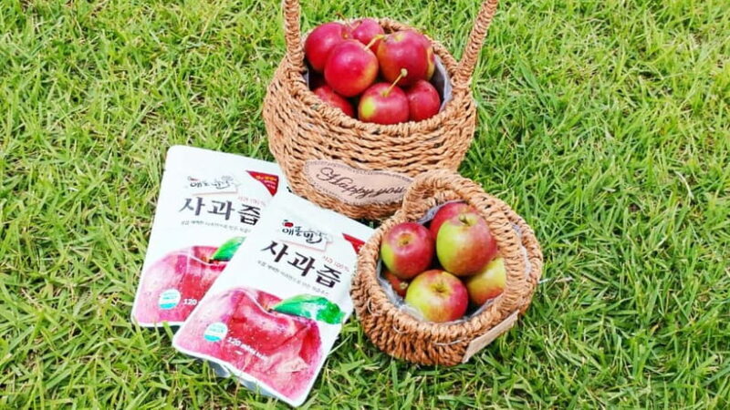 Seoul: Pocheon Art Valley, Garden and Fruit Picking Day Tour - Why This Tour Works Well
