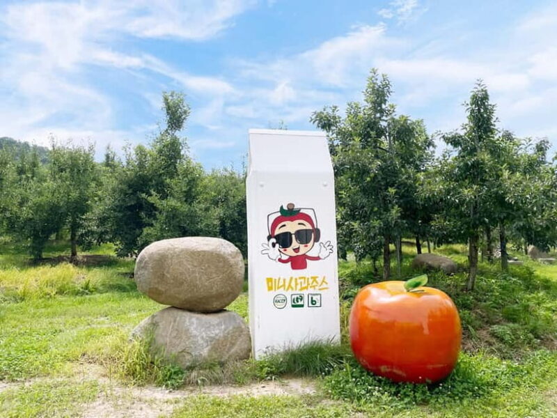 Seoul: Pocheon Art Valley, Garden and Fruit Picking Day Tour - FAQs