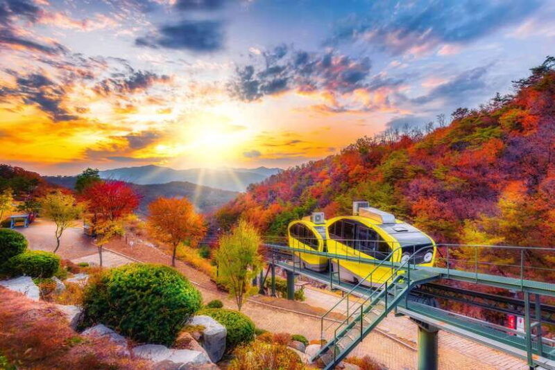 seoul-pocheon-sightseeing-tour-with-seasonal-fruit-picking