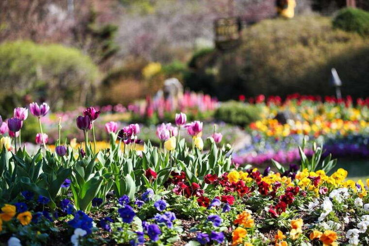 seoul-pocheon-sightseeing-tour-with-seasonal-fruit-picking