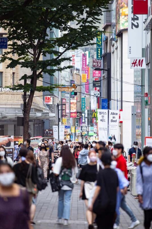 Seoul Private Car & Driver  9h Custom Day with Pickup - The Value of a Private, Fully Customized Tour