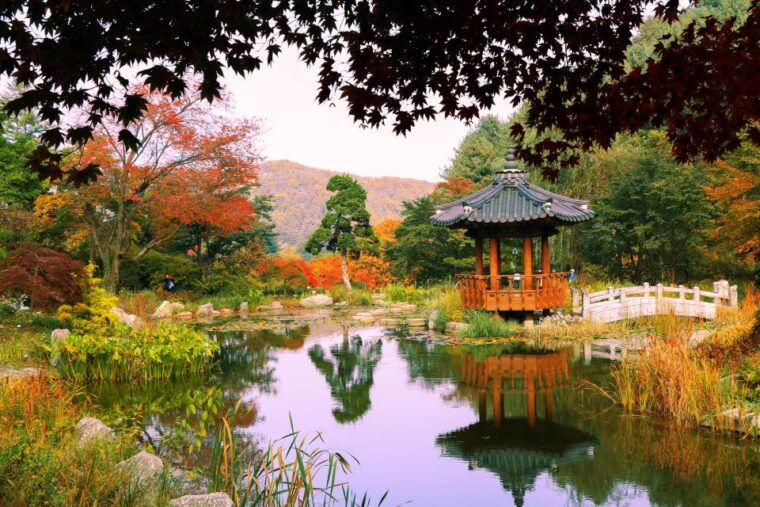 seoul-private-customizable-tour-to-nami-island-and-more