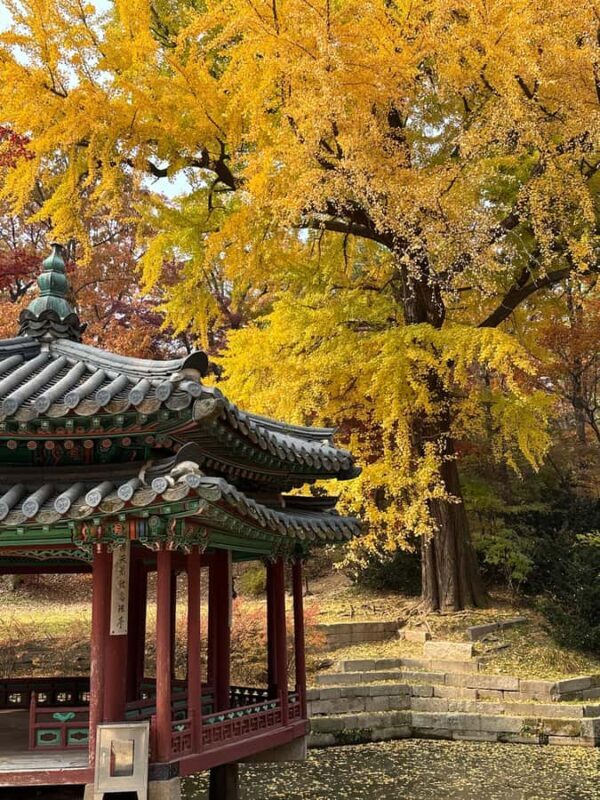 Seoul Private Layover Tour from the Airport with a Local - Who Should Consider This Tour?
