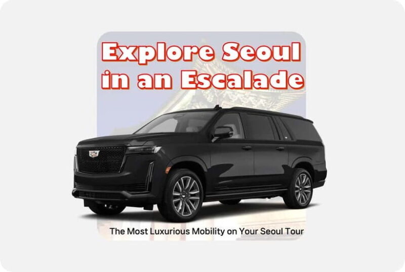 Seoul: Private Luxury Vehicle Tour - English/Spanish guiding - The Ride: Comfort and Practicalities