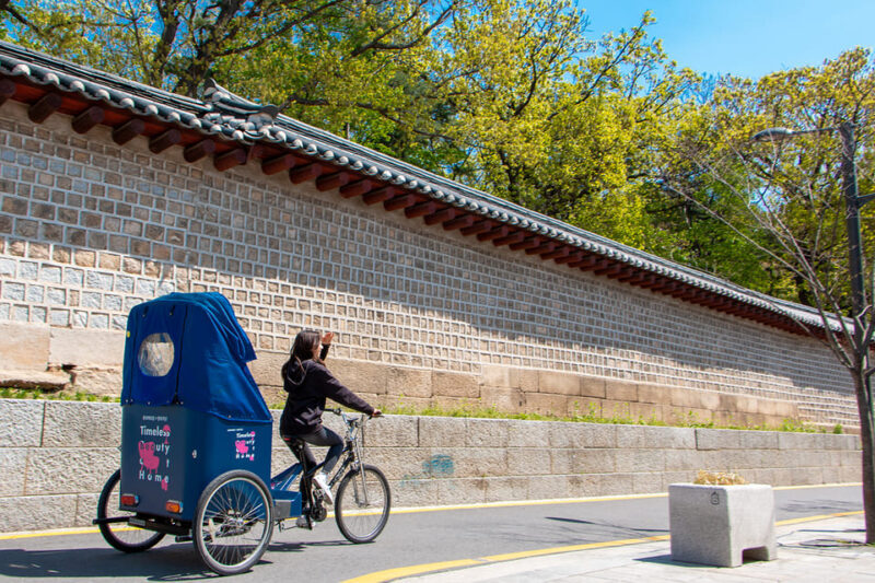 Seoul: Private Pedicab Tour at Bukchon Anguk Hanok Village - Who Will Love This Tour?