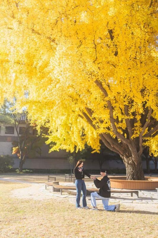 Seoul: Private Photo Walk with a Local Photographer - Who Should Consider This Experience?