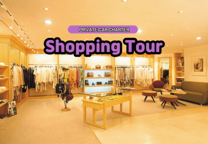 Seoul: Private Shopping Tour - Why Choose the Seoul Private Shopping Tour?