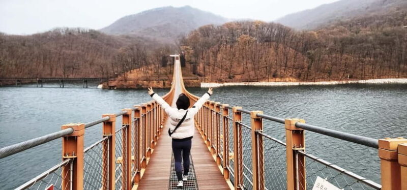 Seoul: Private Taxi Tour Car Charter - Nami Alpaca Seorak - The Day in the Life: What to Expect